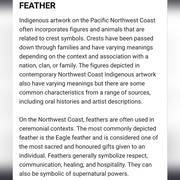 Vintage Indigenous Embroidered Cape Shawl - Picture 15 of 15